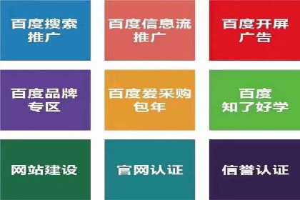 百度SEO推广策略全解析：某企业从零到一的成长历程